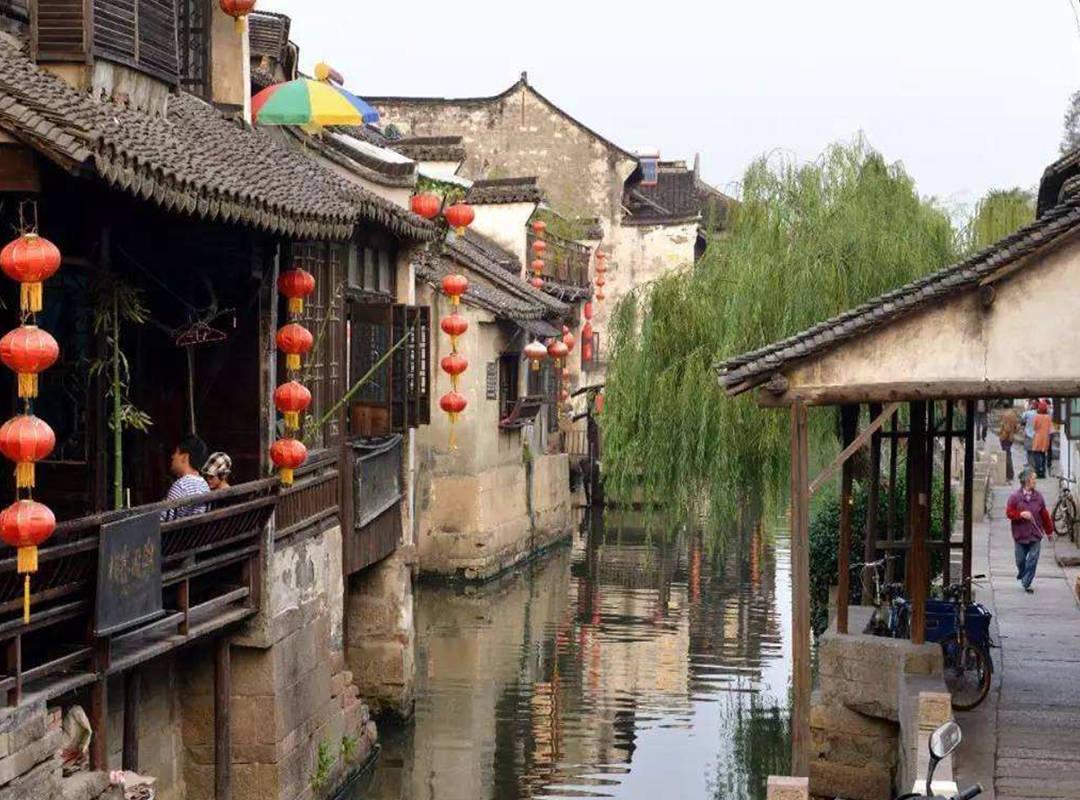 探索如何炸冷冻油条,共享知识的星球